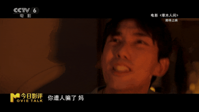 _今日影评|《草木人间》：诗意表达下的反传销指南_今日影评|《草木人间》：诗意表达下的反传销指南