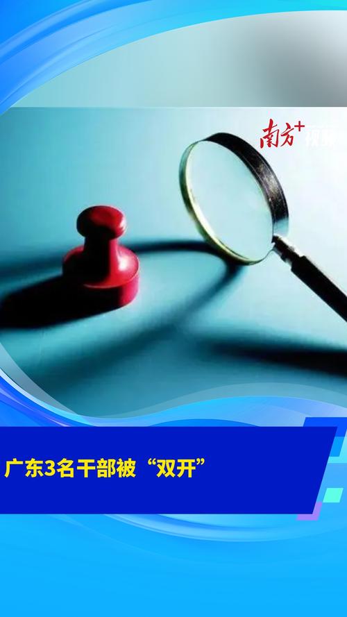 广东3名干部被“双开”
