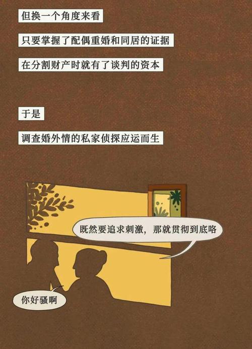 苏州婚外情侦探公司_私家侦探婚外情取证大概多少钱_