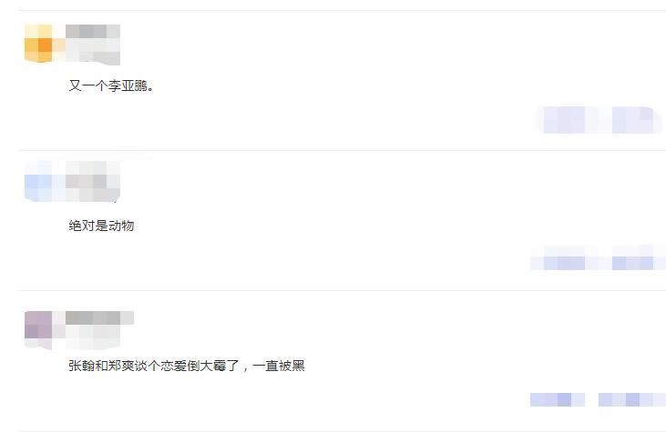 郑爽祝福张翰新恋情_张翰公开新恋情_郑爽粉丝反应炸了
