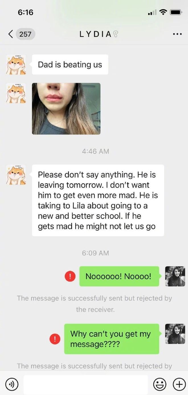 李阳女儿被家暴真相_李阳前妻家暴事件_李阳妻子家暴图片