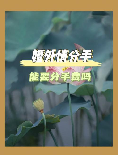 婚外情放手__放手婚外情的说说