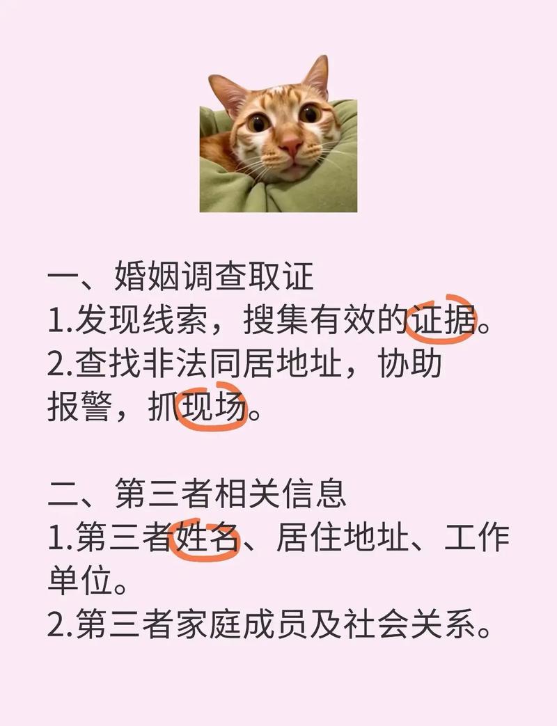 银川婚外恋调查取证_婚外情调查取证方法_婚外情证据链构成要素