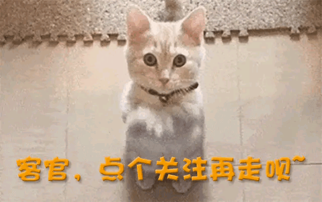 李湘再婚_李湘婚姻失败经历_李湘直播带货争议