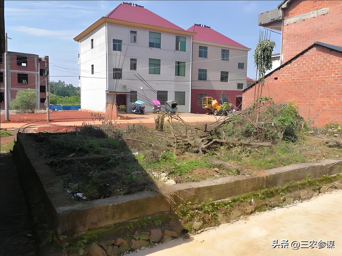 一户一宅政策解读_广州市农村宅基地新规_广州集体户口 结婚