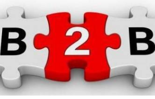 b2b网上商城调查分析_B2B电子商务模式_B2C电子商务模式