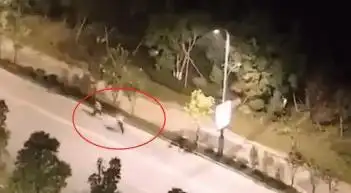 浙江温州街头砍人事件_现场抓出轨妻子_男子回家目睹妻子出轨持刀追砍