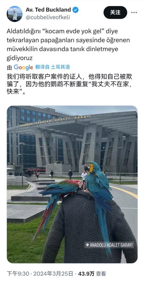 _男子在妻子孕期出轨_男子出轨妻子割吊