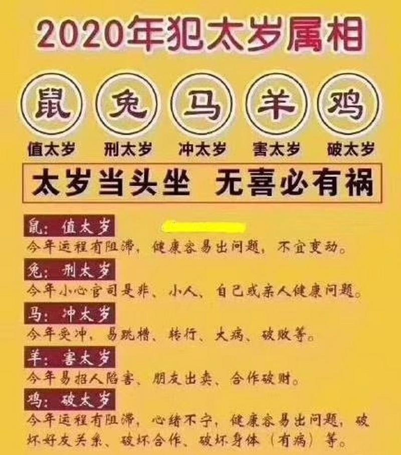 鼠犯太岁生肖__鼠的太岁