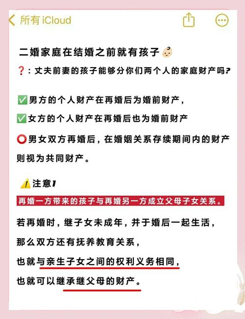 再婚家庭遗产继承法律规定_再婚 继承权_再婚家庭遗产分配方式