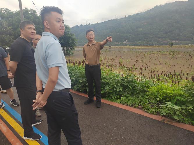 夹江县历史沿革_夹江调查公司_夹江县荣誉排行
