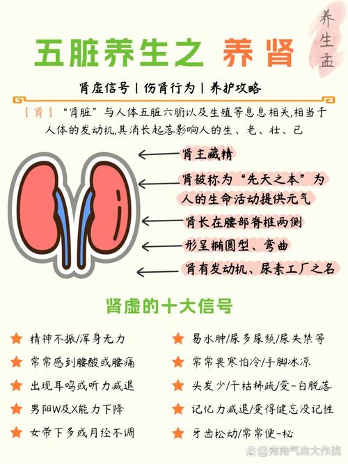 _男士器官保养有哪些_男士器官护理